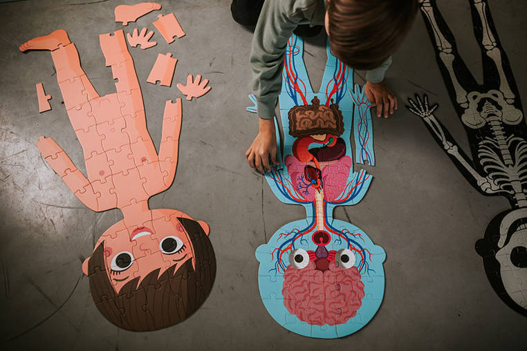 Te układanki uczą dzieci o ludzkim ciele w fascynujący sposób. Zestaw zawiera trzy różnorodne wersje: dwustronną z chłopcem i dziewczynką, grafikę organów wewnętrznych oraz fluorescencyjną wersję szkieletu, która świeci w ciemności. Dzięki dołączonym kartom pomocniczym dzieci poznają części ciała, a duże elementy ułatwiają układanie!